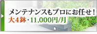 免箪笥もプロにお任せ！大4鉢・11,000円/月