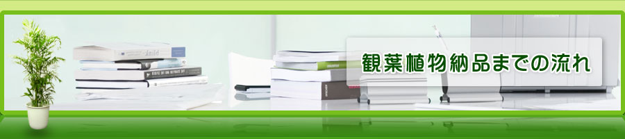 観葉植物納品までの流れ