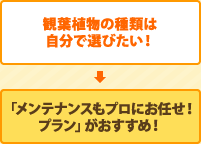 観葉植物の種類は自分で選びたい！「メンテナンスもプロにお任せ！プラン」がおすすめ！