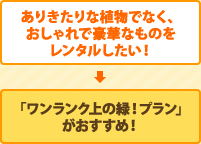 ありきたりな植物でなく、おしゃれで豪華なものをレンタルしたい！「ワンランク上の緑！プラン」がおすすめ！