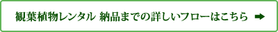 観葉植物レンタル納品までの詳しいフローはこちら