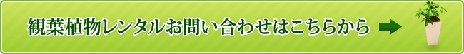 観葉植物レンタルお問い合わせはこちらから